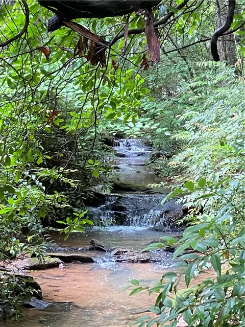 0 Saluda Lake Rd, Greenville, SC 29611