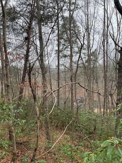 126 River Ridge Rd, Sunset, SC 29685 photo 4