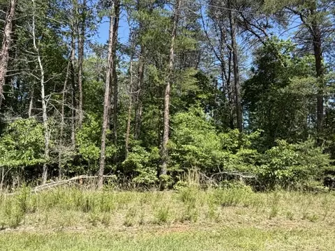 lot S 156 157 Beech Dr, Westminster, SC 29693