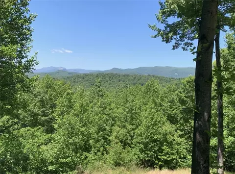 17 Sweetleaf Ct, Marietta, SC 29661