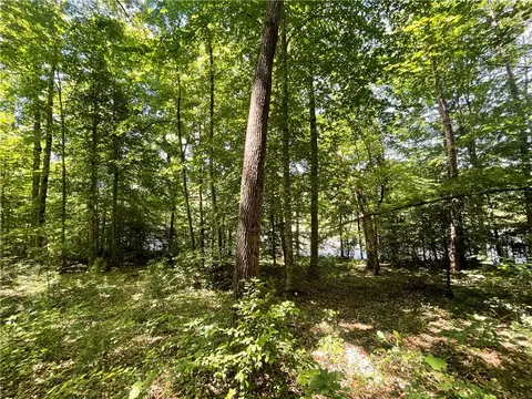 615 The Bear Blvd, Tamassee, SC 29686 photo 9