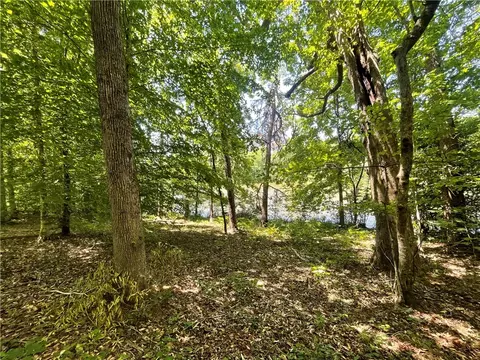615 The Bear Blvd, Tamassee, SC 29686 photo 10