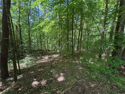 615 The Bear Blvd, Tamassee, SC 29686 photo 12