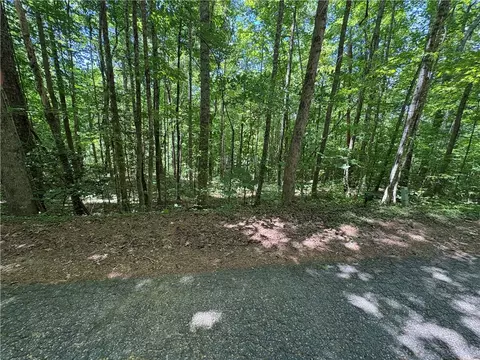 615 The Bear Blvd, Tamassee, SC 29686 photo 6