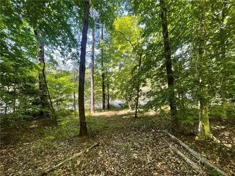 615 The Bear Blvd, Tamassee, SC 29686 photo 11