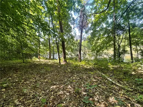 615 The Bear Blvd, Tamassee, SC 29686 photo 8