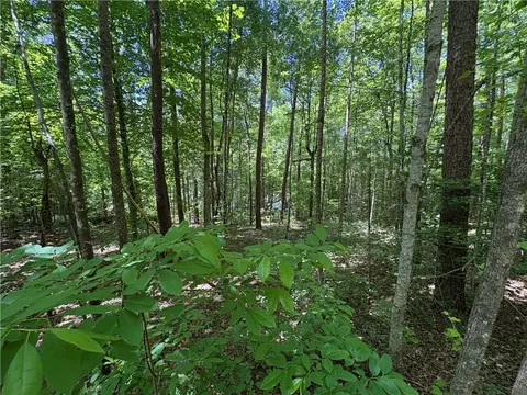 615 The Bear Blvd, Tamassee, SC 29686 photo 14