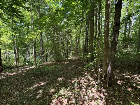 615 The Bear Blvd, Tamassee, SC 29686 photo 13