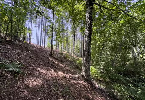 lot11 Little Keowee Blvd, West Union, SC 29696