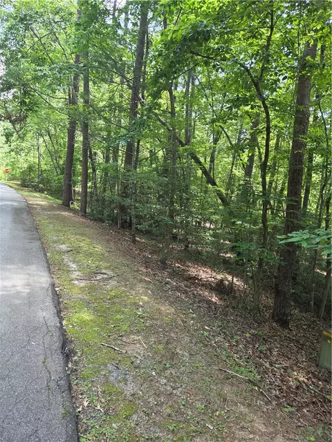 31 Turtlehead Dr, Salem, SC 29676 photo 4