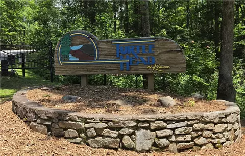 31 Turtlehead Dr, Salem, SC 29676 photo 2