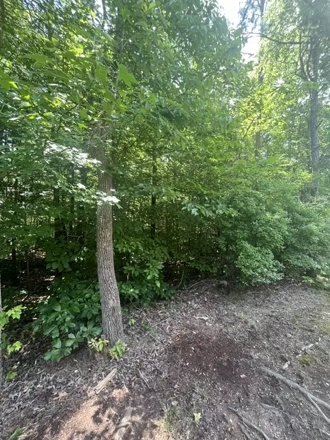 0 Point Rd, Westminster, SC 29693