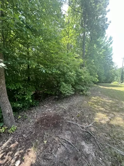 0 Point Rd, Westminster, SC 29693 photo 3