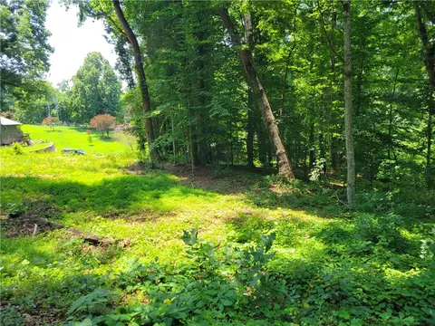 00 Fox Fire Rd, Central, SC 29630 photo 4