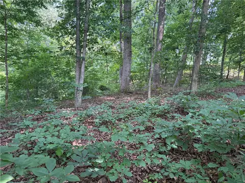 00 Fox Fire Rd, Central, SC 29630 photo 16