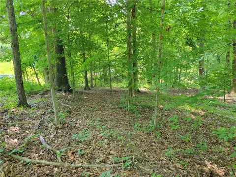 00 Fox Fire Rd, Central, SC 29630 photo 2