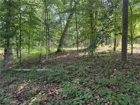 00 Fox Fire Rd, Central, SC 29630 photo 18