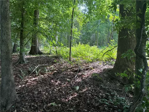 00 Fox Fire Rd, Central, SC 29630 photo 13