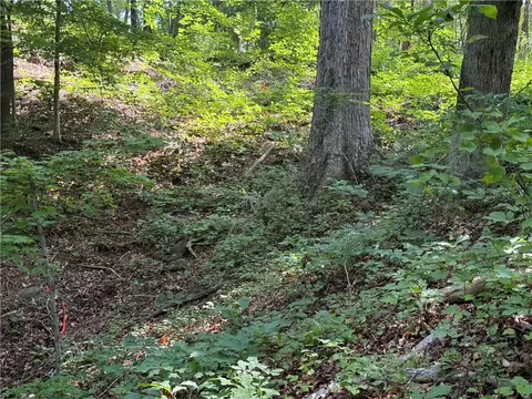 00 Fox Fire Rd, Central, SC 29630 photo 20
