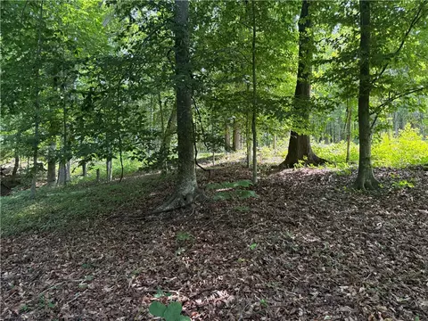 00 Fox Fire Rd, Central, SC 29630 photo 17