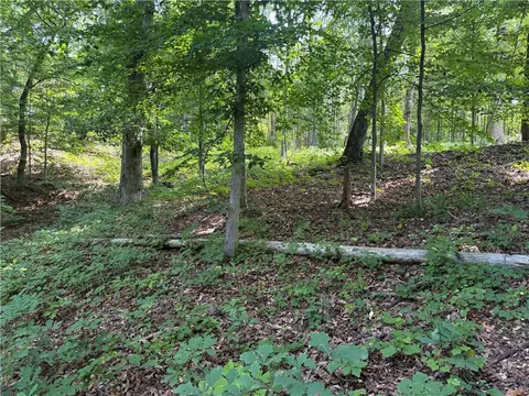 00 Fox Fire Rd, Central, SC 29630 photo 22