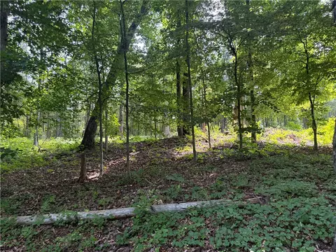 00 Fox Fire Rd, Central, SC 29630 photo 21