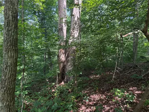00 Fox Fire Rd, Central, SC 29630 photo 15