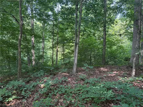 00 Fox Fire Rd, Central, SC 29630 photo 14