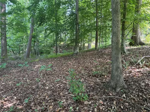 00 Fox Fire Rd, Central, SC 29630 photo 12