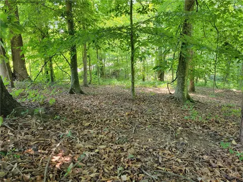 00 Fox Fire Rd, Central, SC 29630 photo 9