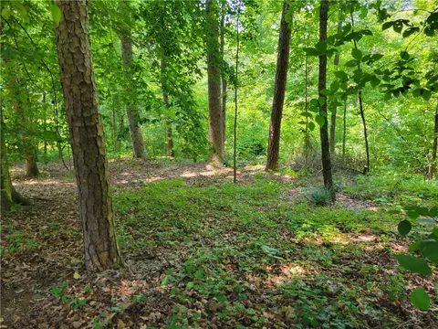 00 Fox Fire Rd, Central, SC 29630 photo 10