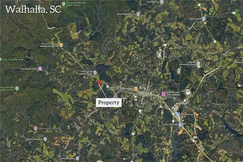 156 Newberry Rd, Walhalla, SC 29691 photo 7