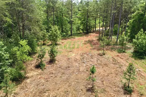 51 3 Acres Hall Rd, Westminster, SC 29693 photo 3
