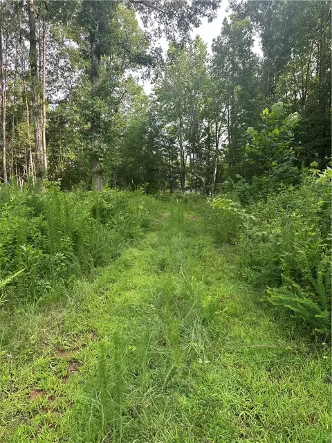 209 Gale Dr, Pelzer, SC 29669 photo 8