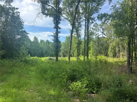 209 Gale Dr, Pelzer, SC 29669 photo 6