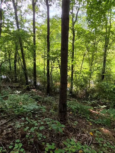 209 Gale Dr, Pelzer, SC 29669 photo 11