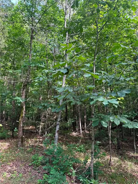209 Gale Dr, Pelzer, SC 29669 photo 3