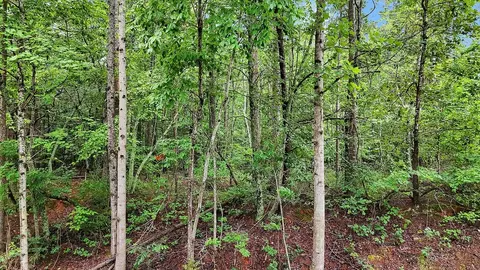 Exterior - 5 State Road S-4-97, Pendleton, SC 29670 photo 1 of 1