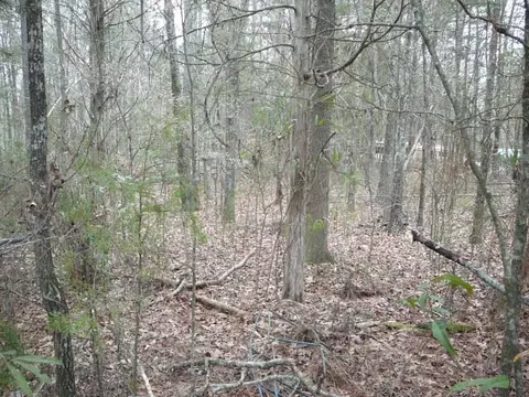 33 Lone Eagle Way, Iva, SC 29655 photo 4