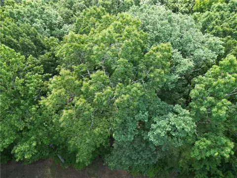 View/Area - 1654 Point Rd, Westminster, SC 29693 photo 2 of 5