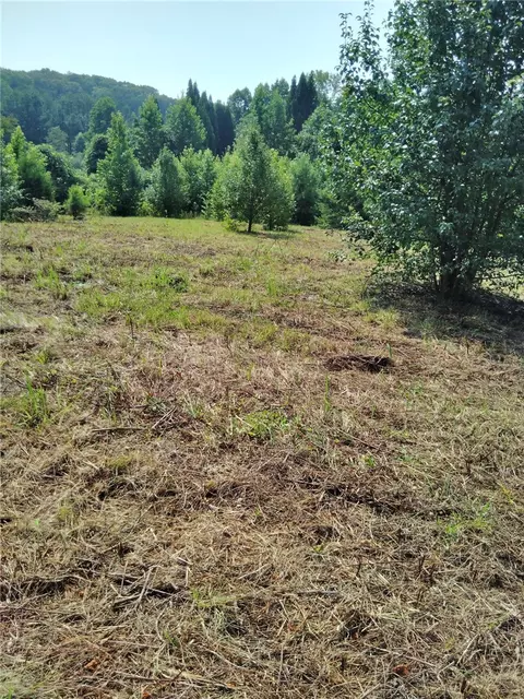0 Jameson Rd, Easley, SC 29640