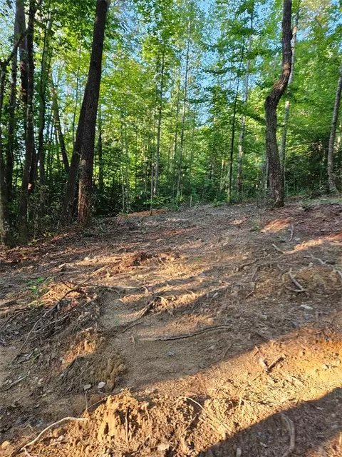 Other - 116 Fireside Ln, Pickens, SC 29671 photo 9 of 12