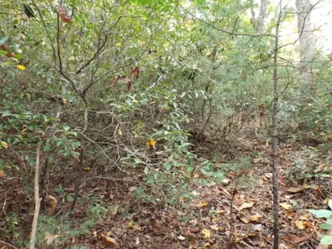 Other - 116 Fireside Ln, Pickens, SC 29671 photo 3 of 12