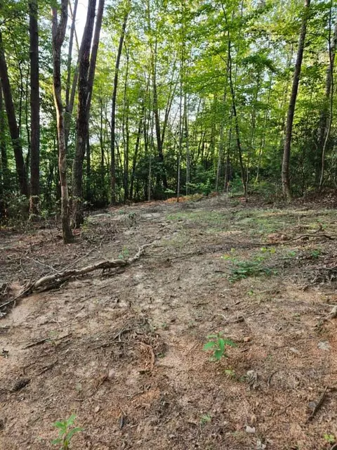 Exterior - 116 Fireside Ln, Pickens, SC 29671 photo 10 of 11