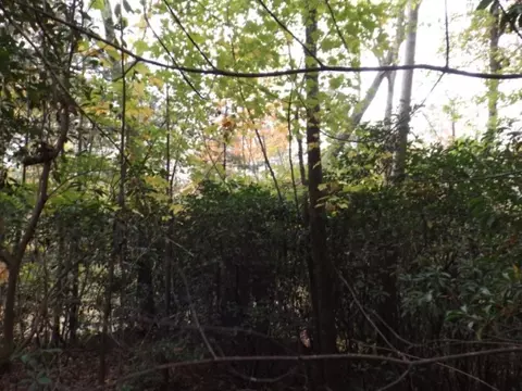 Other - 116 Fireside Ln, Pickens, SC 29671 photo 2 of 12