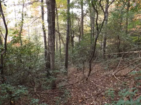 Exterior - 116 Fireside Ln, Pickens, SC 29671 photo 5 of 11