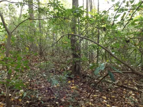Other - 116 Fireside Ln, Pickens, SC 29671 photo 5 of 12