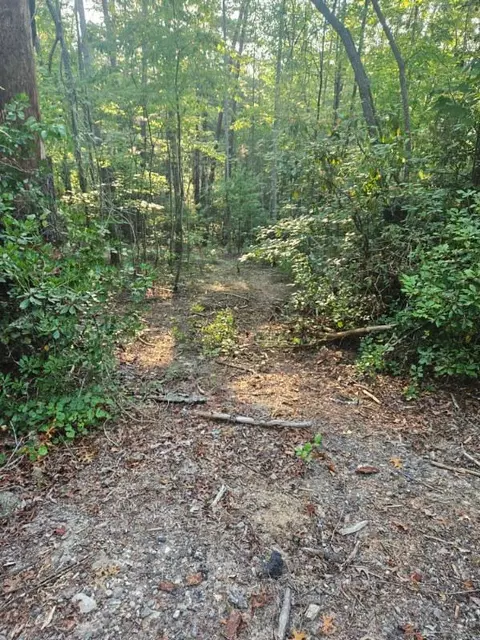 Other - 116 Fireside Ln, Pickens, SC 29671 photo 10 of 12