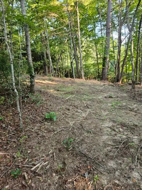 Other - 116 Fireside Ln, Pickens, SC 29671 photo 12 of 12