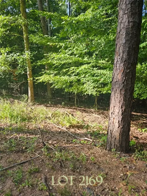 lot2169 N Sundew Dr, Westminster, SC 29693